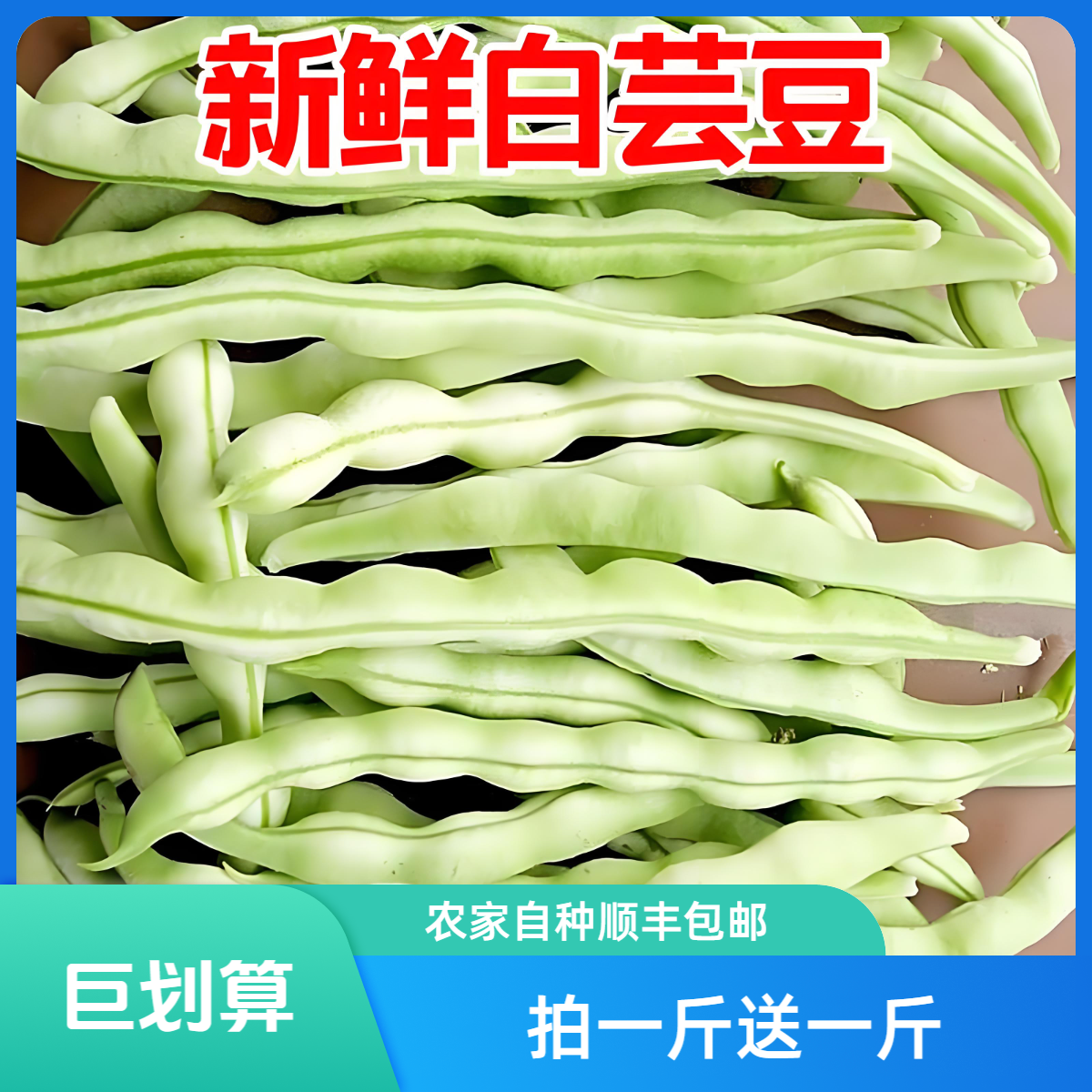 本地白芸豆拍一斤送一斤到手两斤老品种小时候的味道顺丰包邮新鲜