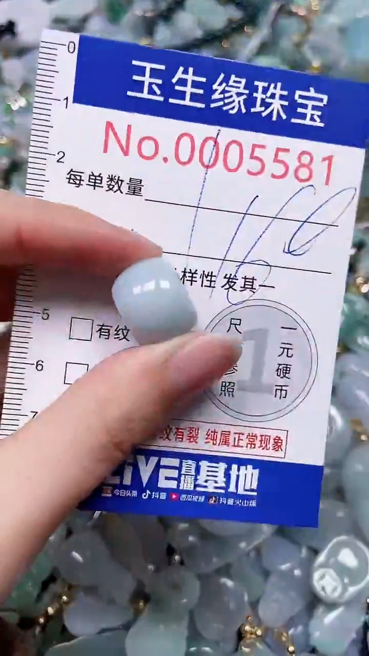 【闪购商品】翡翠颈饰未镶嵌闪购5581