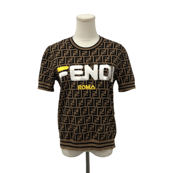 妃鱼/芬迪/粘胶纤维/针织衫/95新/M1/26