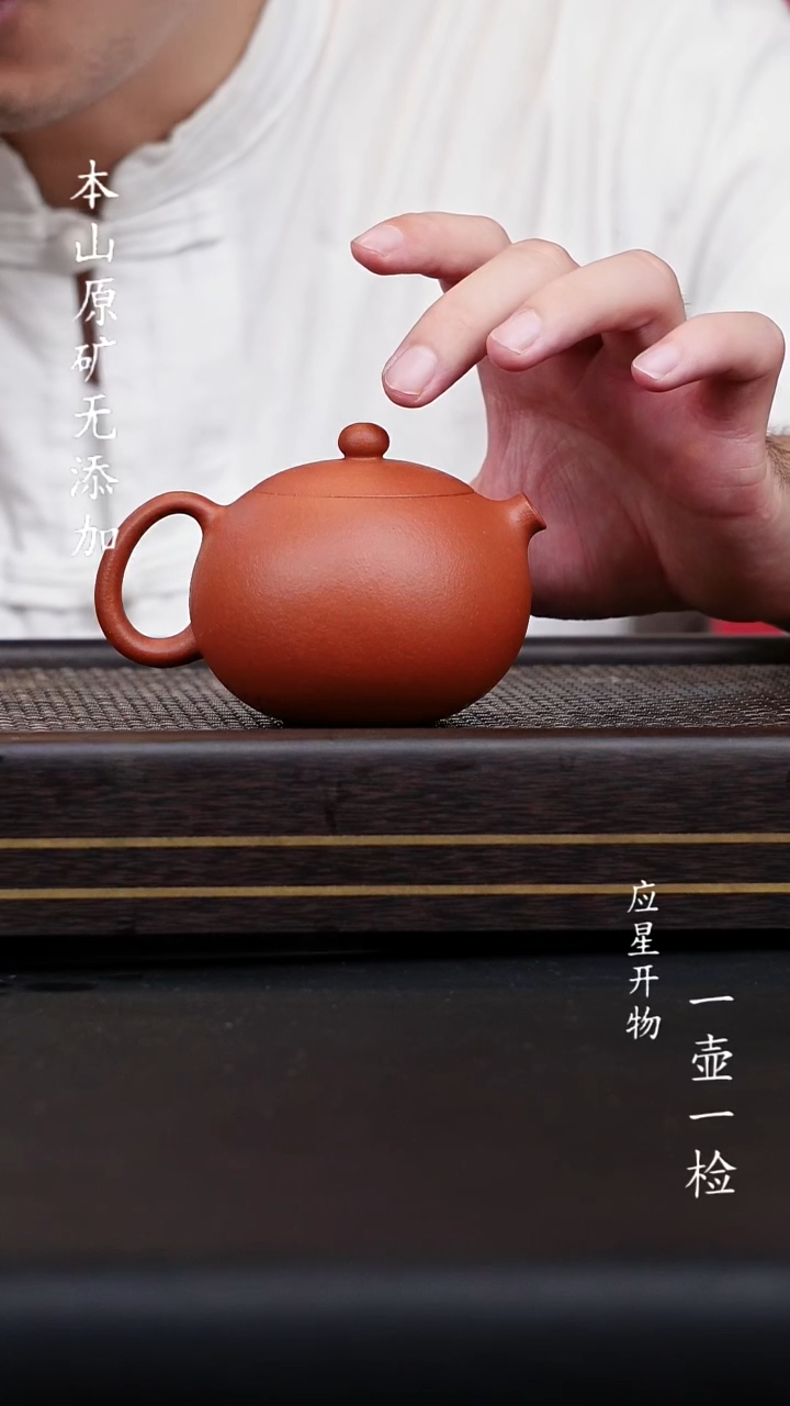 宜兴原矿朱泥西施