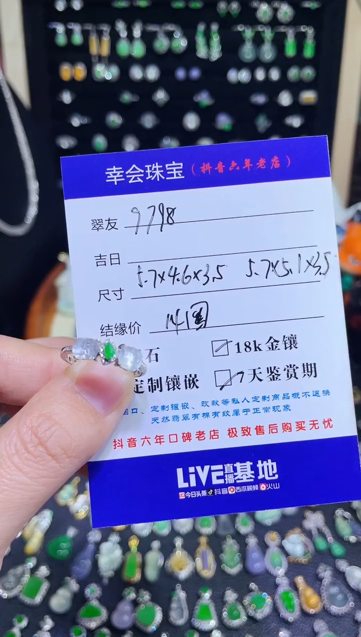 颈饰18K金镶嵌翡翠用****9玻璃种双貔貅戒指