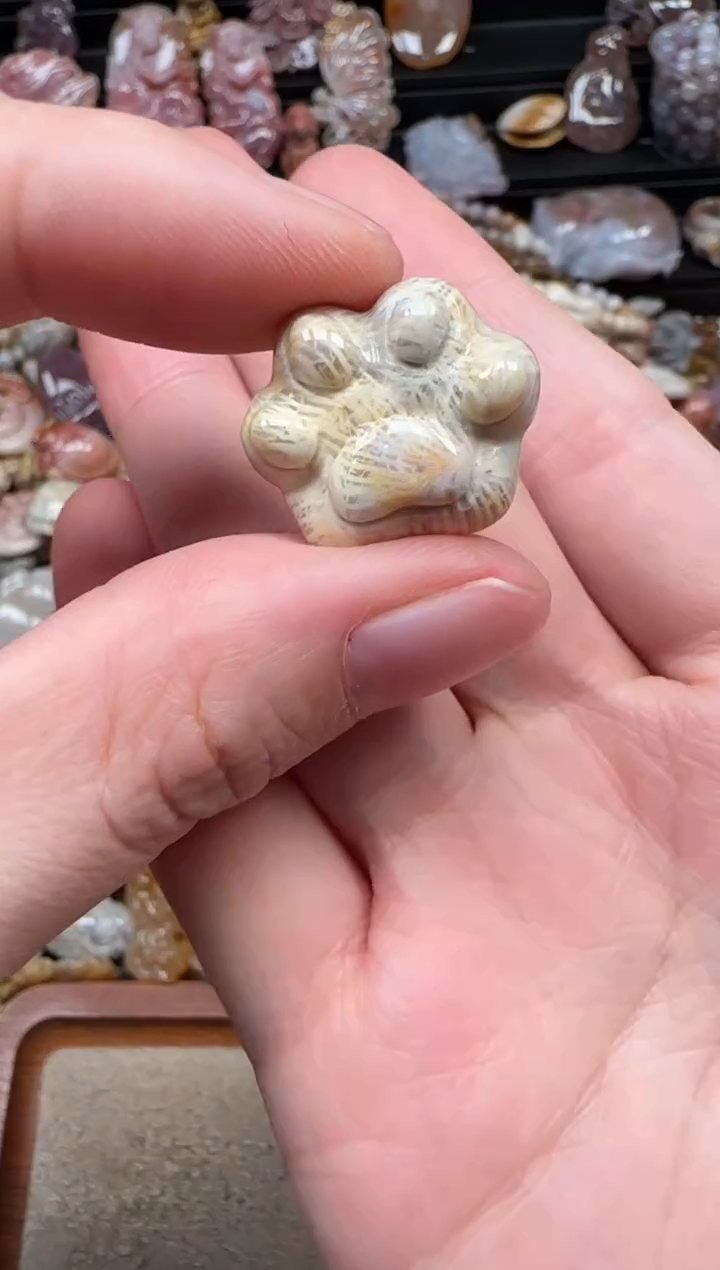 颈饰未镶嵌硅化珊瑚（珊瑚玉）073