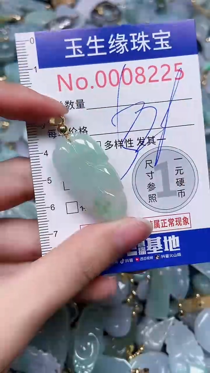 【闪购商品】翡翠颈饰未镶嵌闪购00008225