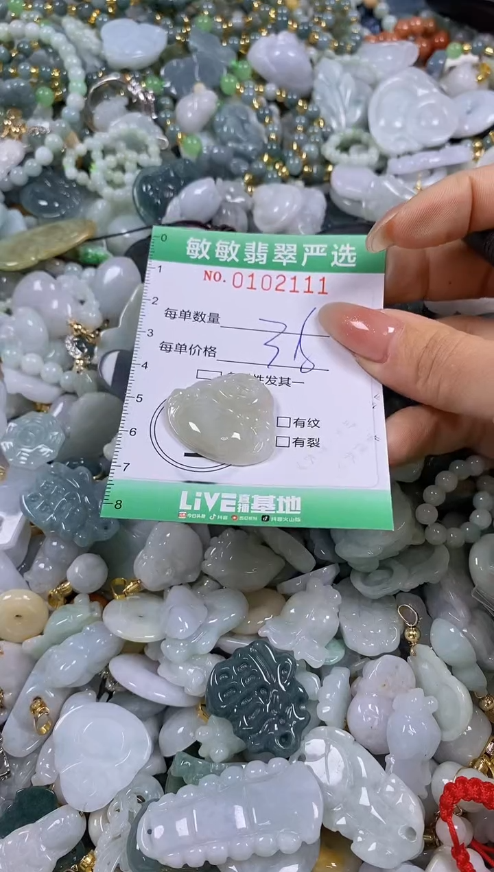 【闪购商品】翡翠颈饰未镶嵌闪购链接01012111