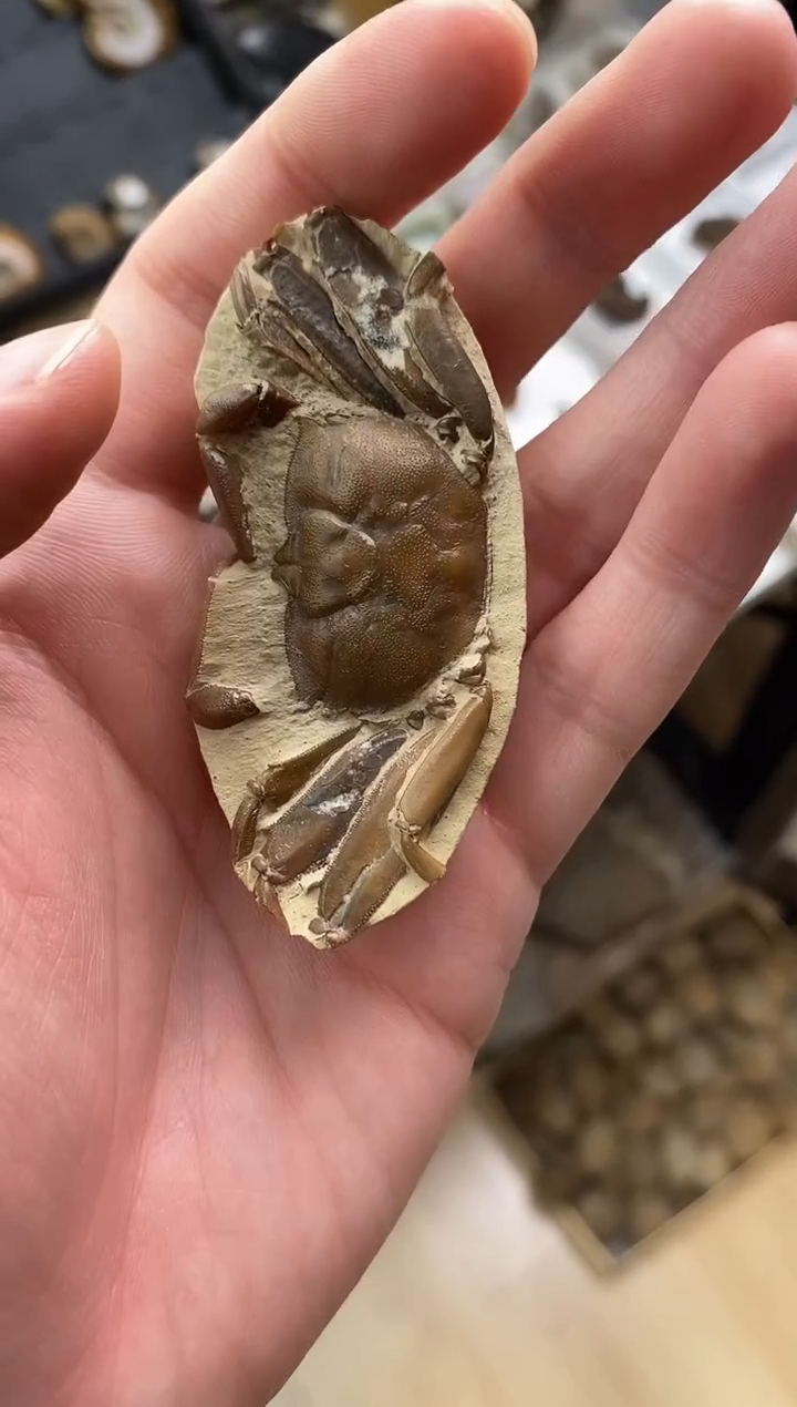 精美摆件创意礼物家居配饰新年礼物个人收藏