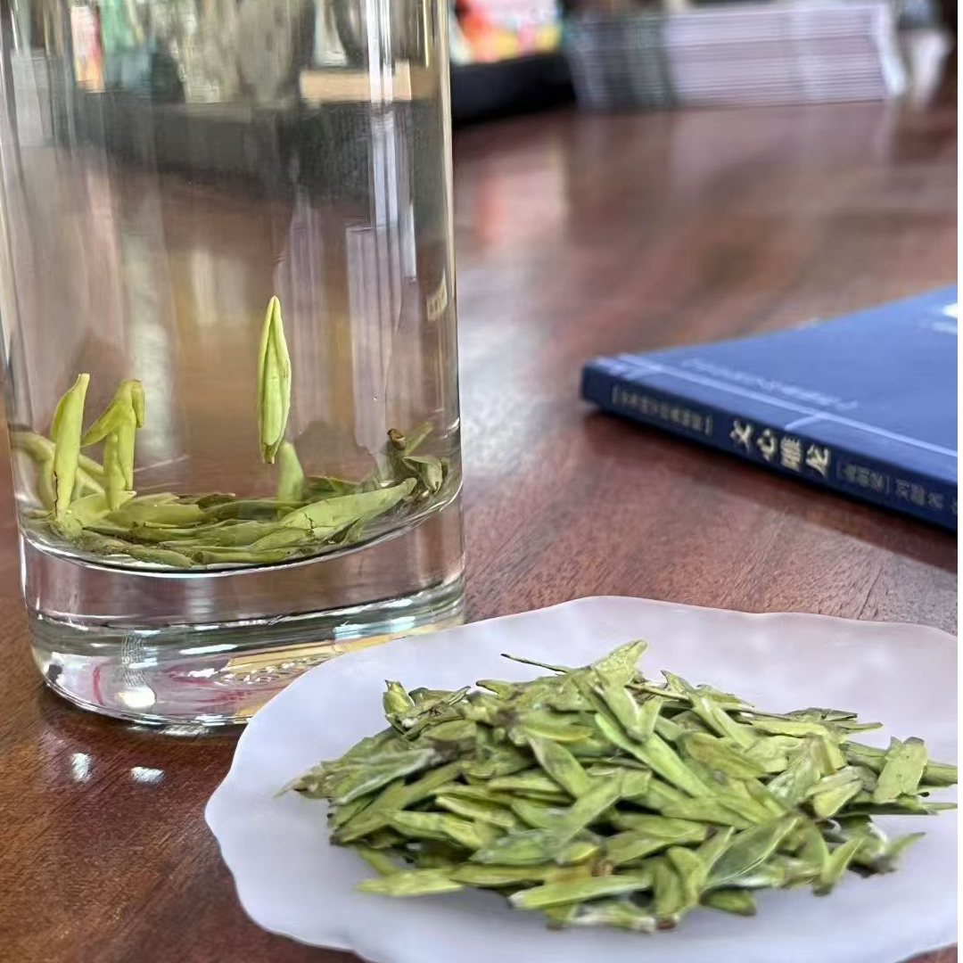 象棋山茶叶头采绿茶2025新茶订制春茶广西昭平茶叶