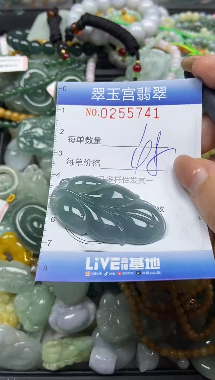 颈饰未镶嵌翡翠闪购C0255741