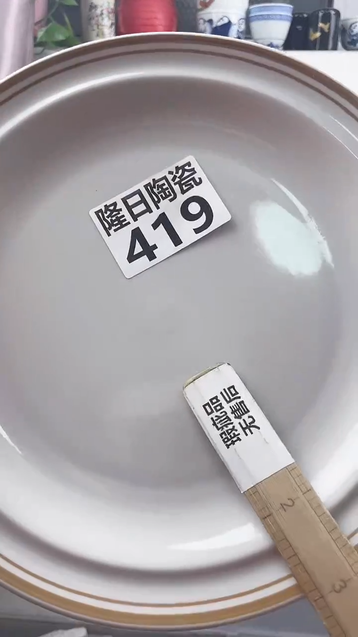 【闪购商品】瓷片419longritaoci