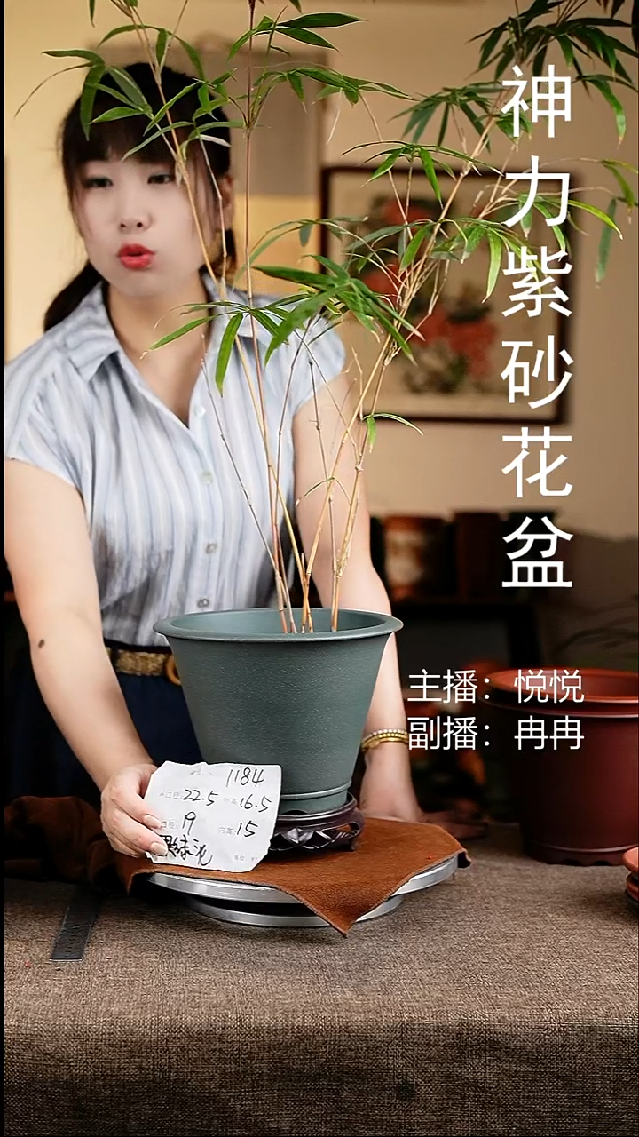 紫砂花盆花卉工艺1184+s果绿