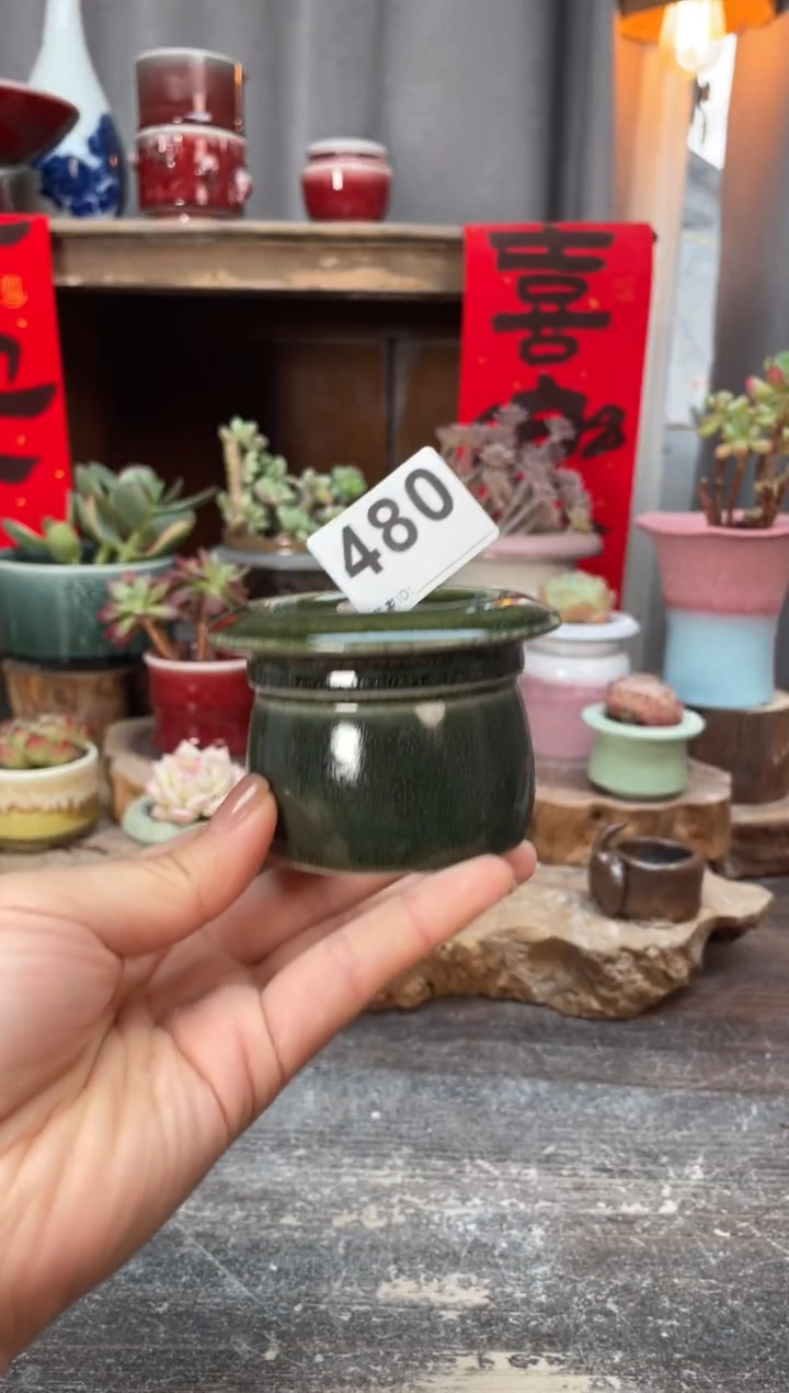 【闪购商品】摆件480知木小芳花盆