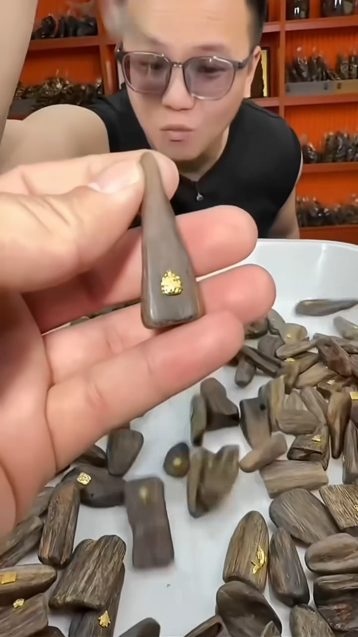 沉香沉香香囊10号文莱小黑棍发两粒多样性发一