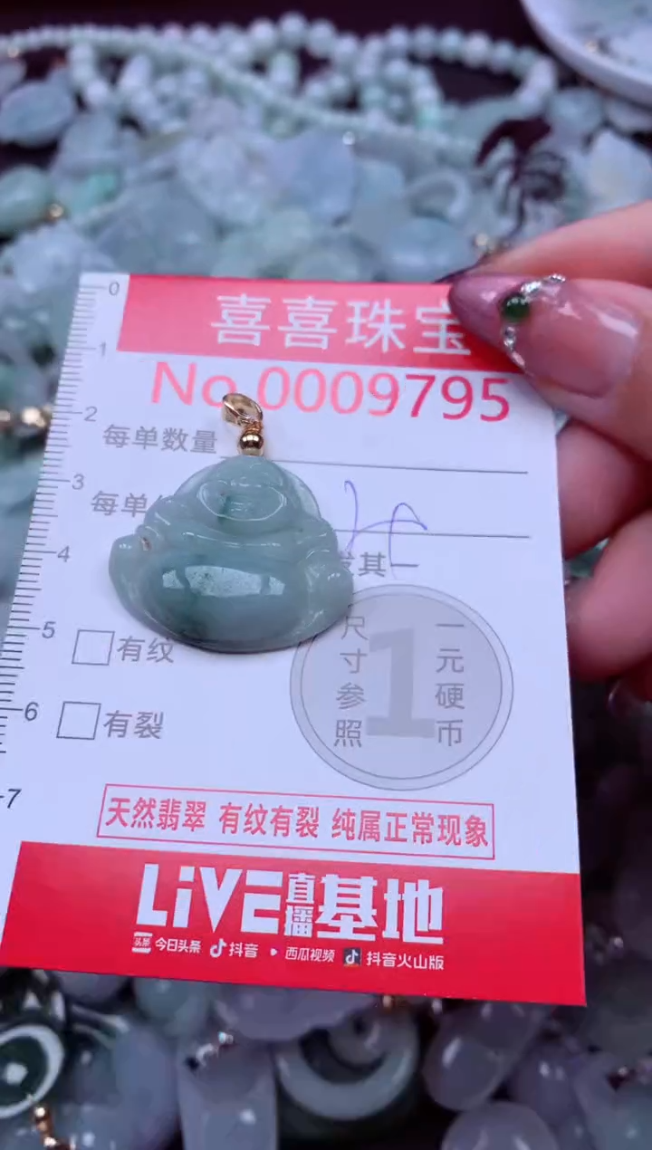 颈饰未镶嵌翡翠9795