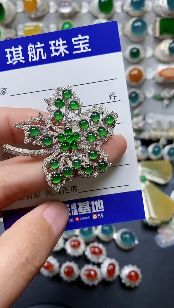 【闪购商品】翡翠颈饰银S925镶嵌0557