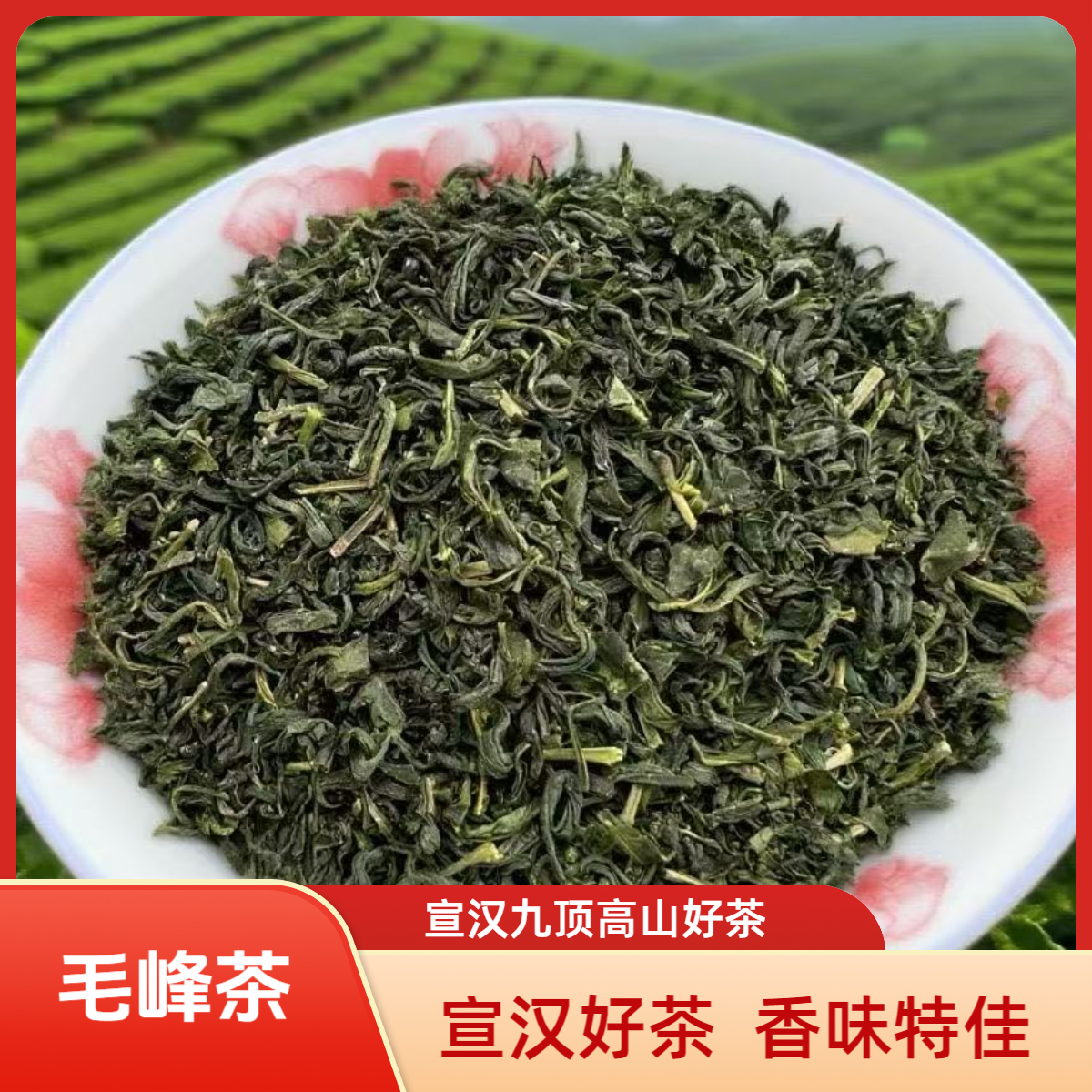 宣汉漆碑乡九顶茶厂毛峰茶高山绿茶厂家直销