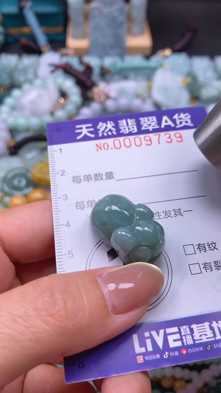 颈饰未镶嵌翡翠闪购0009739
