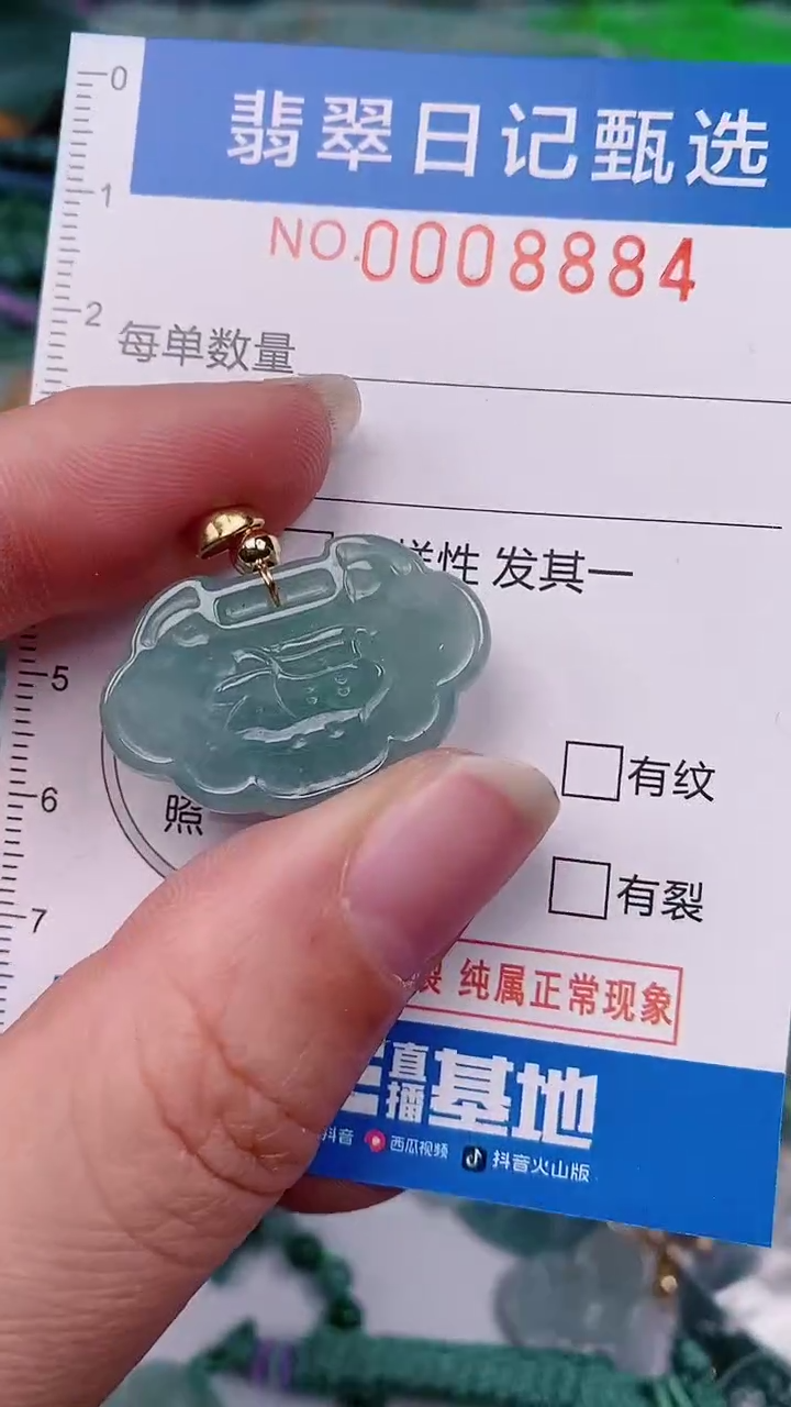 【闪购商品】翡翠颈饰未镶嵌00008884