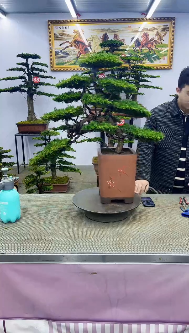 【闪购商品】000000000000