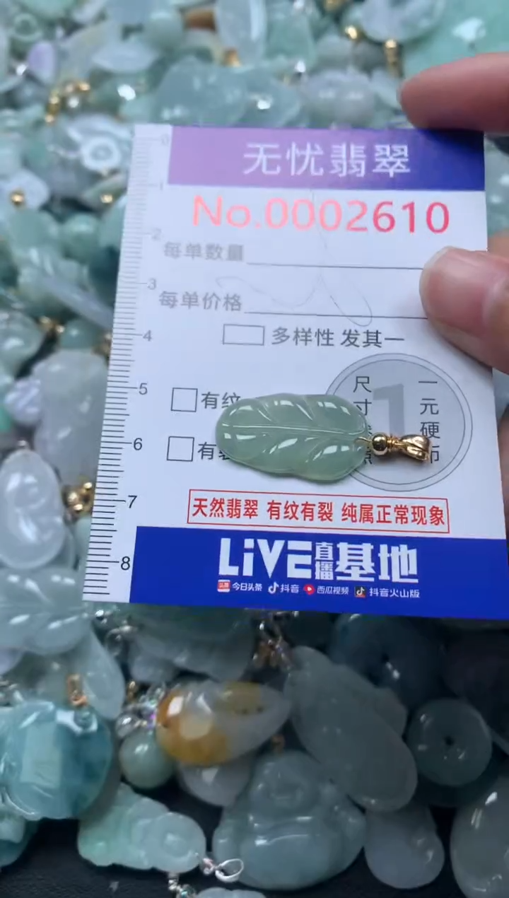 颈饰未镶嵌翡翠2610