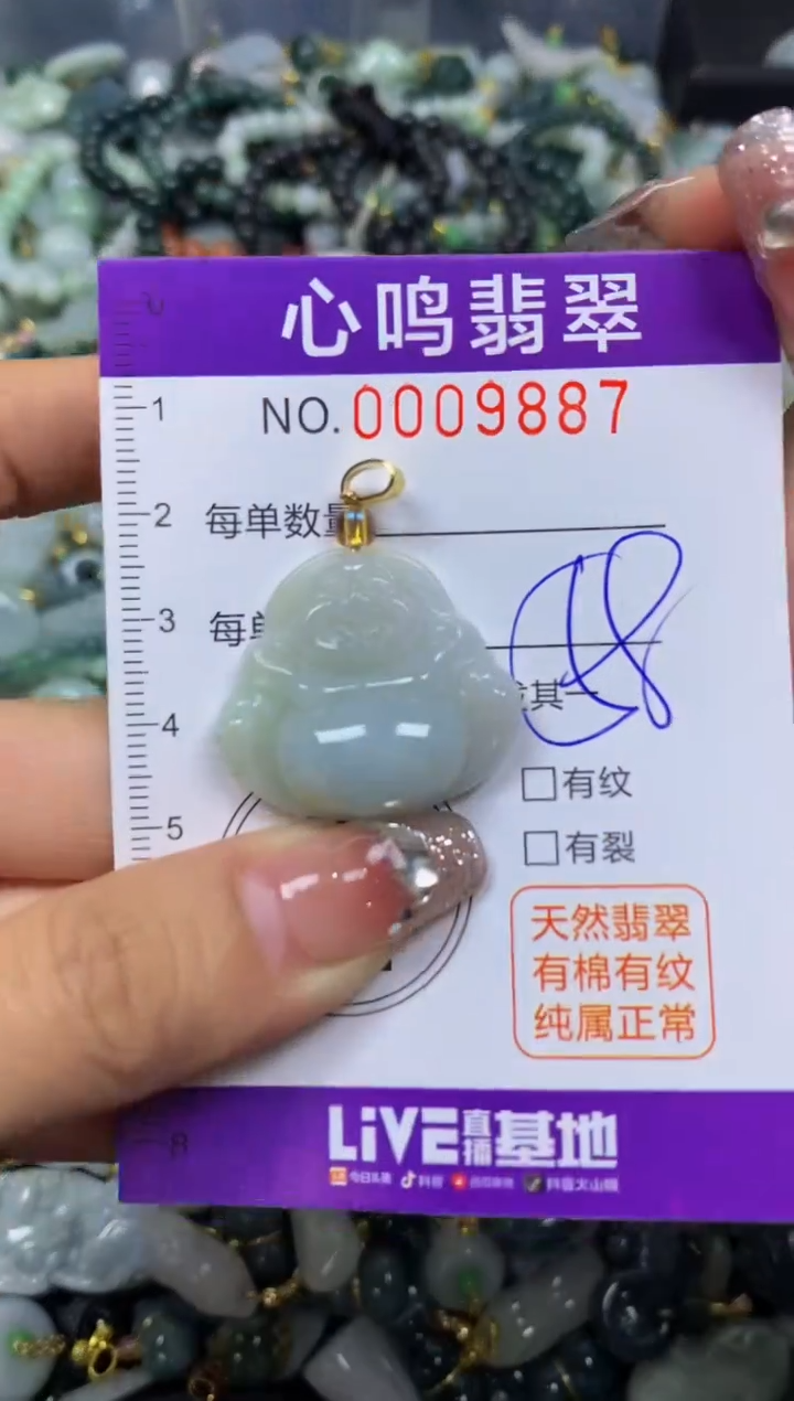 【闪购商品】翡翠颈饰未镶嵌闪购009887