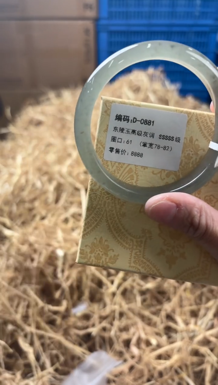 未镶嵌手镯石英质玉D-0881