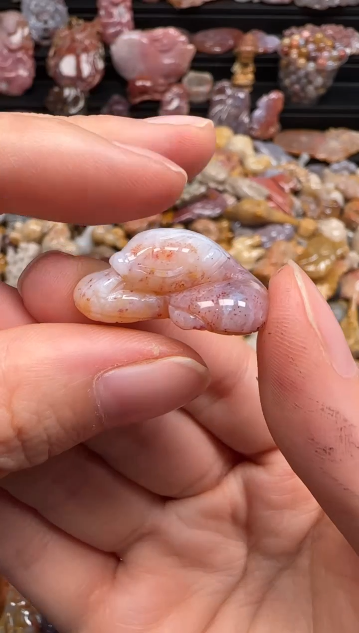 【闪购商品】硅化珊瑚（珊瑚玉）颈饰未镶嵌670