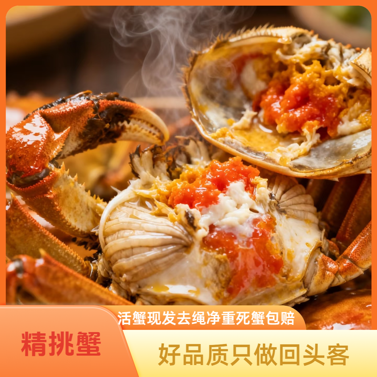 【can 活蟹】固城湖精品大闸蟹公4.0-3.7两母3.3-3.0两6/8/10只