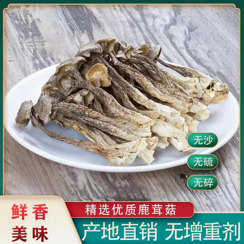 严选优质鹿茸菇净重新鲜脆脆菇当季新货口感鲜香美味爽口