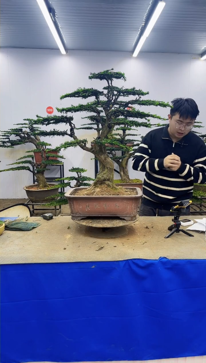 完全开放一物一拍，所见即所得