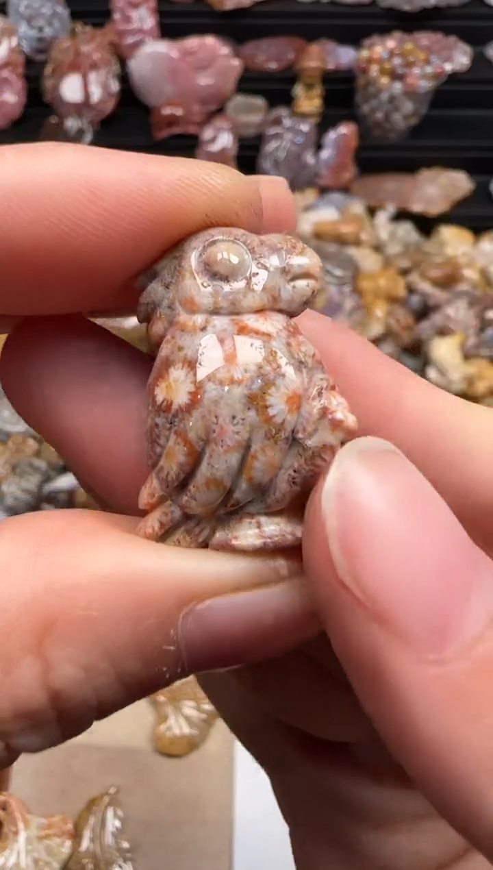 【闪购商品】硅化珊瑚（珊瑚玉）颈饰未镶嵌412