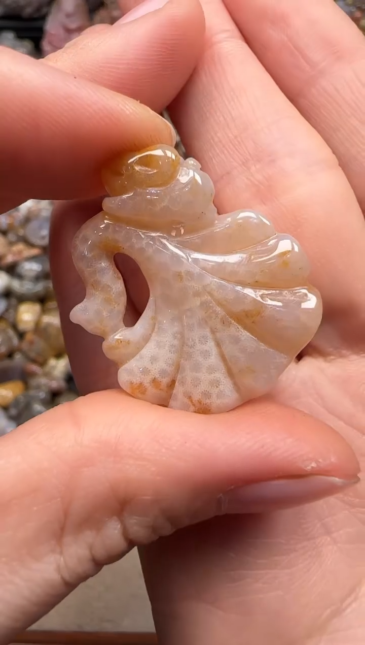 【闪购商品】硅化珊瑚（珊瑚玉）颈饰未镶嵌212