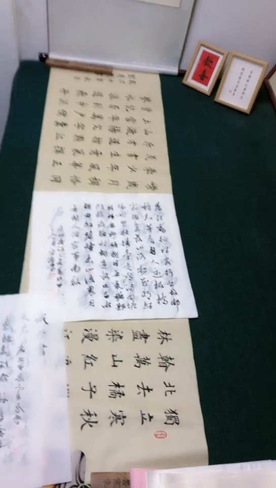 【闪购商品】书法宋鲁林老师 草书