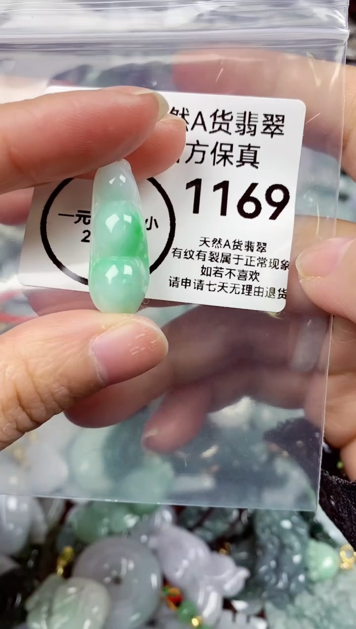 【闪购商品】翡翠颈饰未镶嵌天然A货翡翠1169