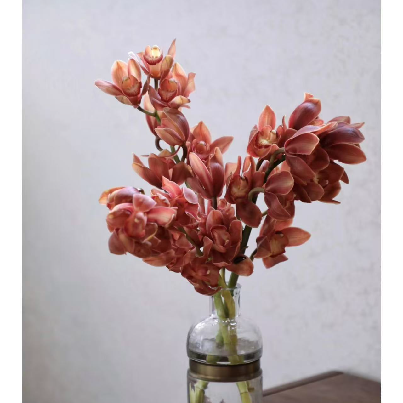 【咖色蕙兰2枝】任意2单鲜花升级顺丰/德邦