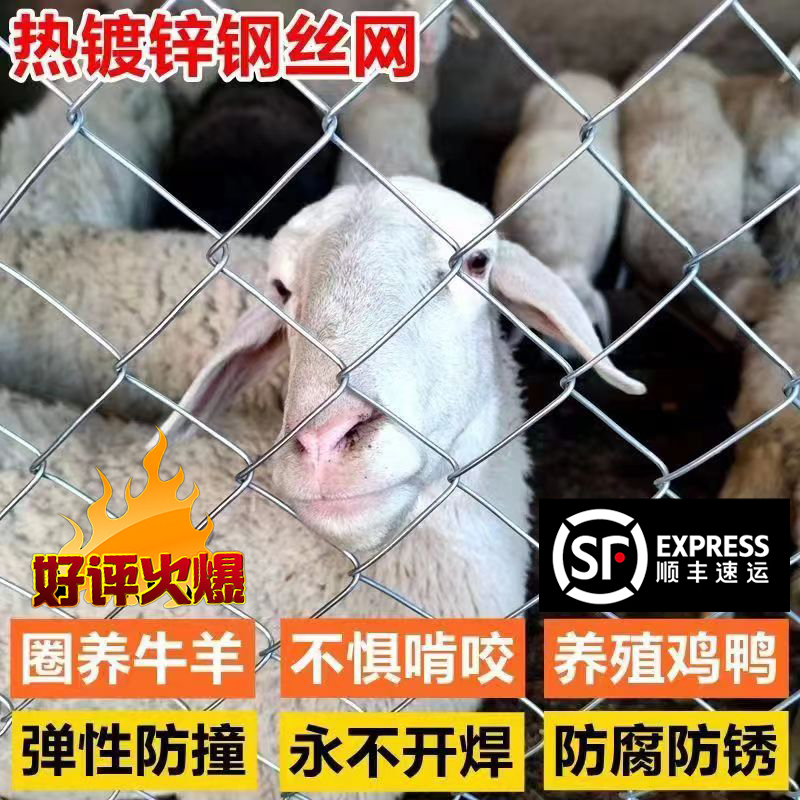 2米高防锈热镀锌钢丝铁丝网围栏防护网户外养殖牛羊勾花网护栏网