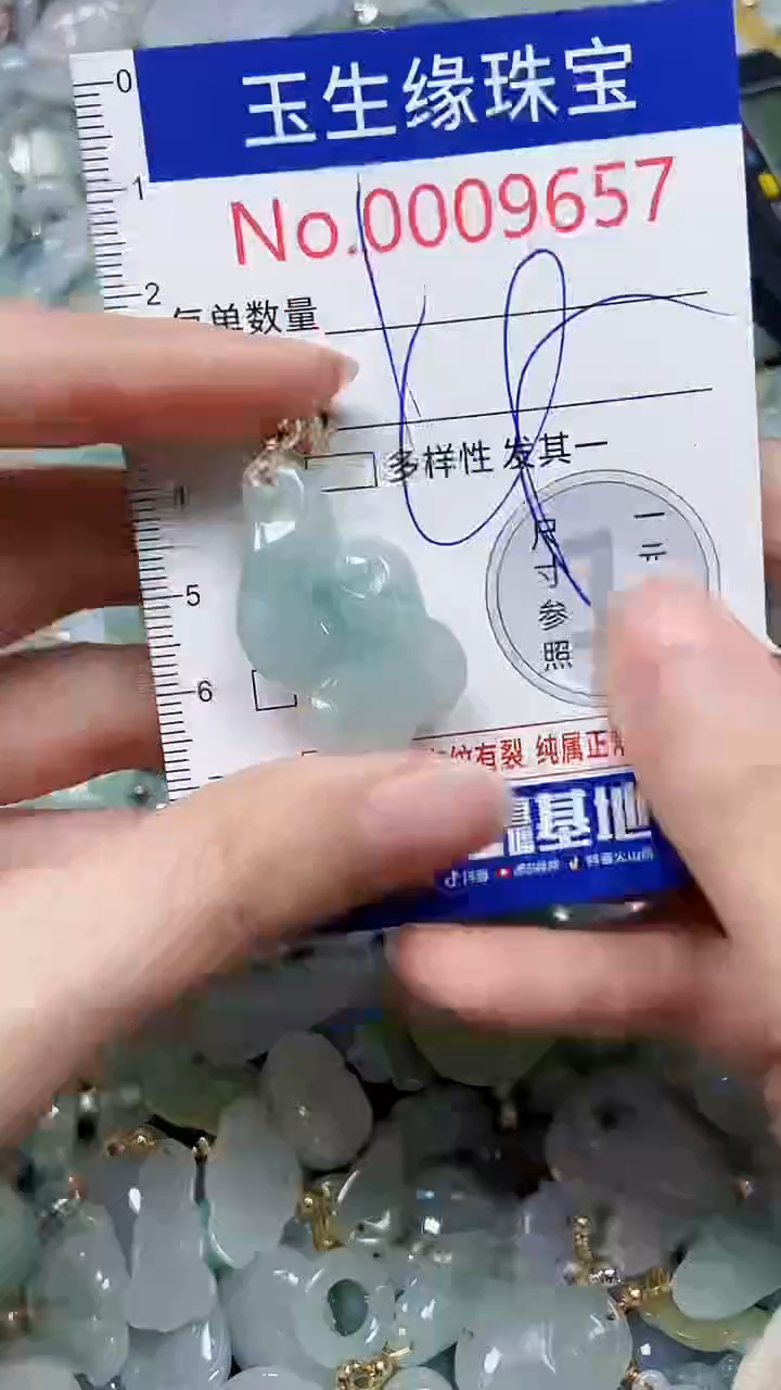 【闪购商品】翡翠颈饰未镶嵌闪购00009657