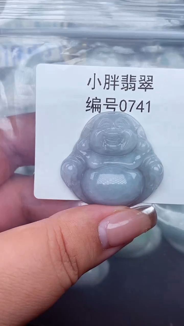 翡翠未镶嵌颈饰缅甸天然A货翡翠0741