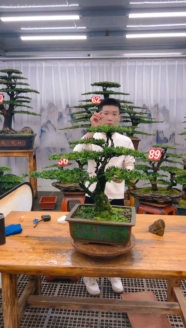 【闪购商品】紫砂精品盆景直播间一物一拍