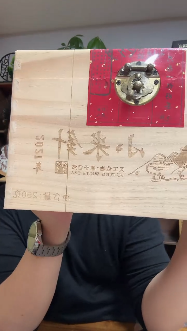 宗阳生态 2021年老树小米针 福鼎白茶250g