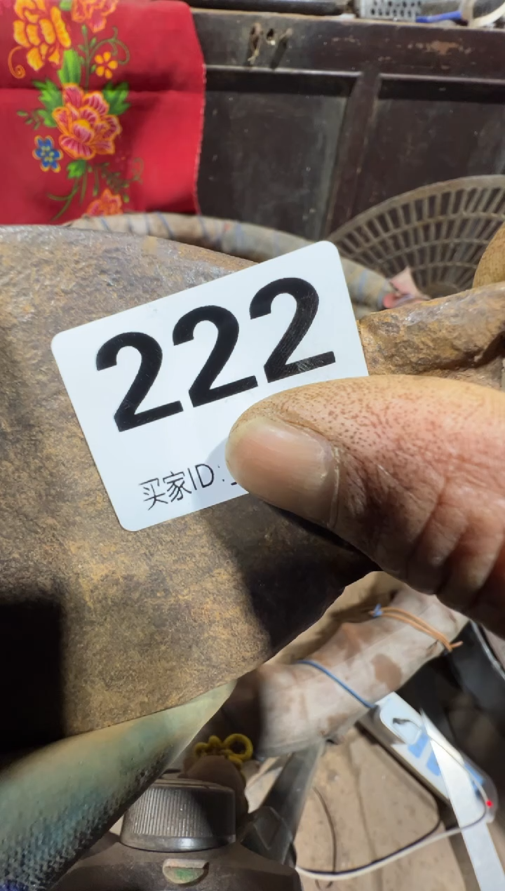 爱****猫08180老王直播间专属链接