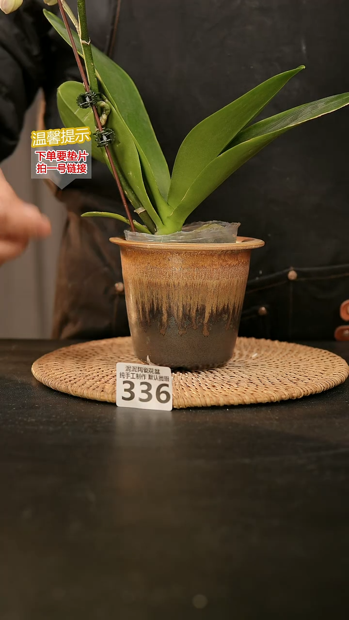 瓷片336内口径约10  外高约10