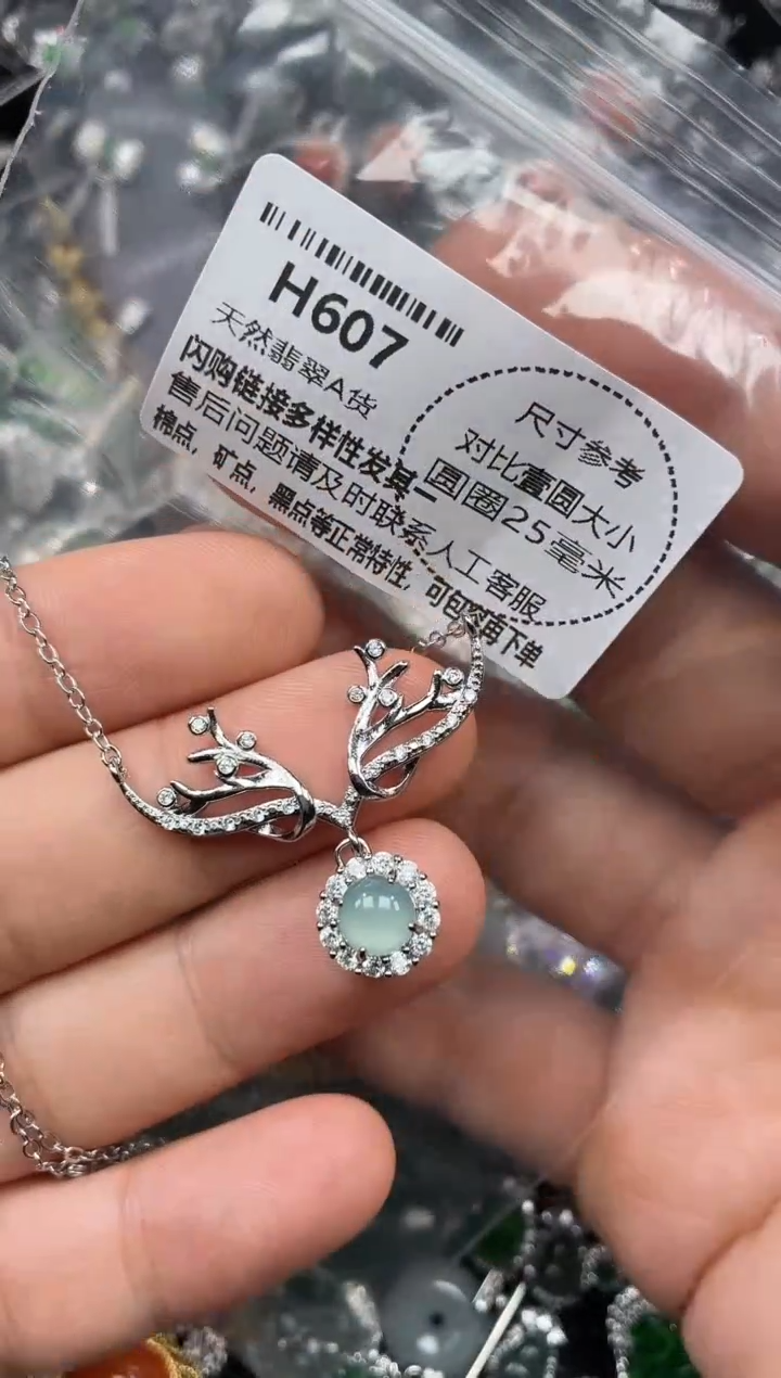 颈饰未镶嵌翡翠H607项链