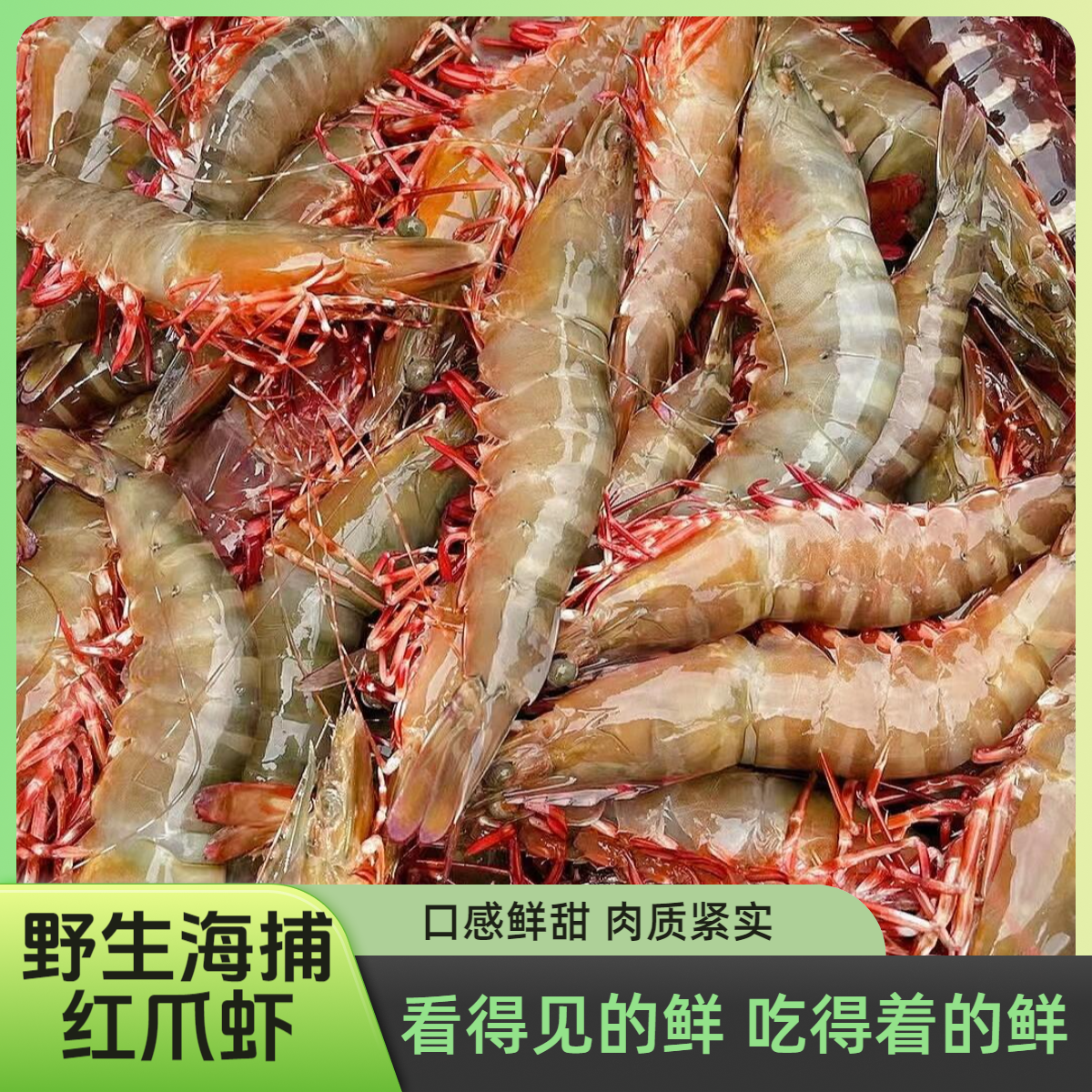 【6头左右/斤】微次品野生海捕红爪虾中丰虾新鲜海虾