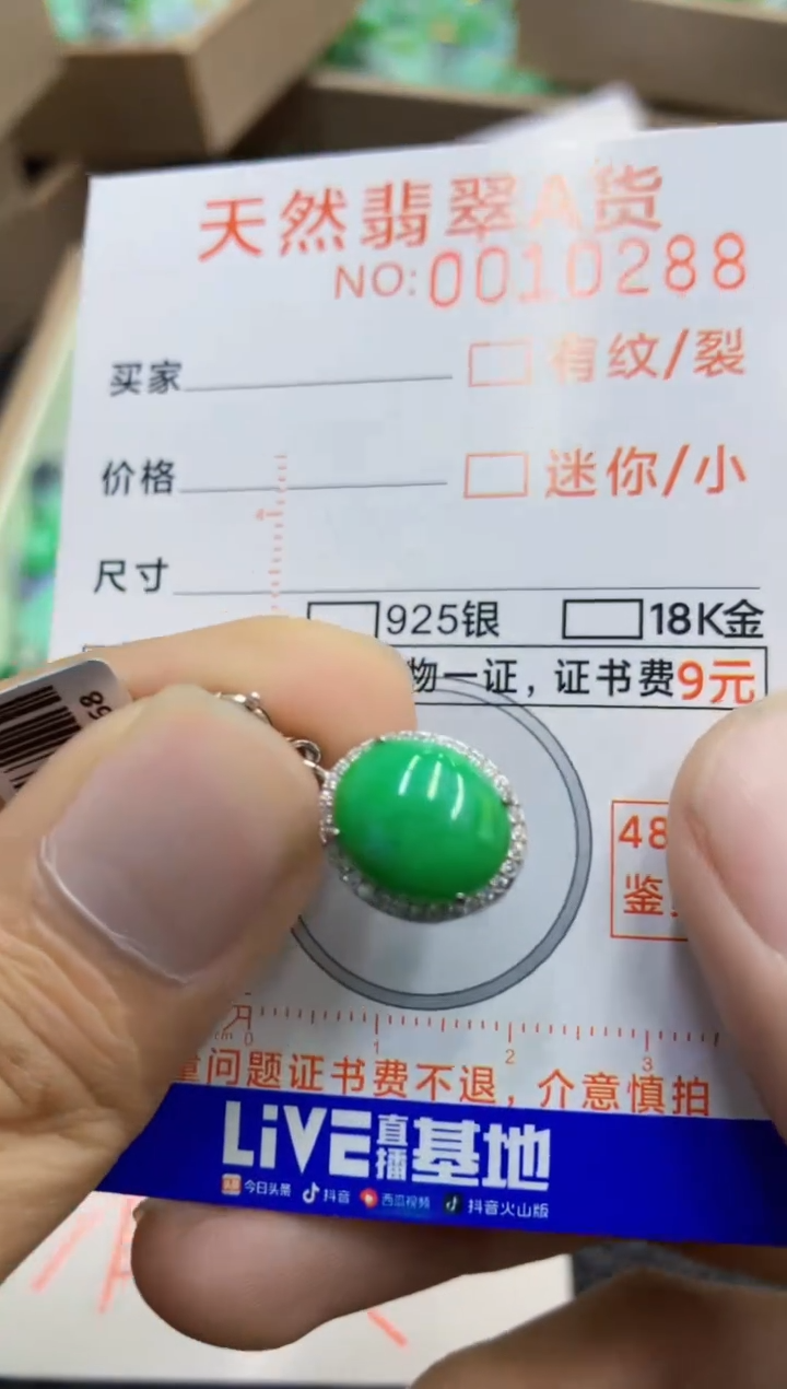 翡翠未镶嵌吊坠(不含链)1