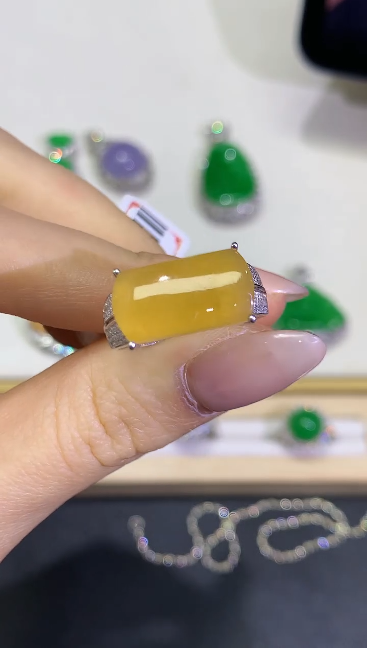 【闪购商品】翡翠颈饰18K金镶嵌团购32