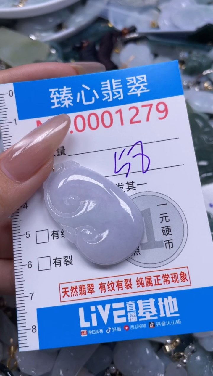 颈饰未镶嵌翡翠1279