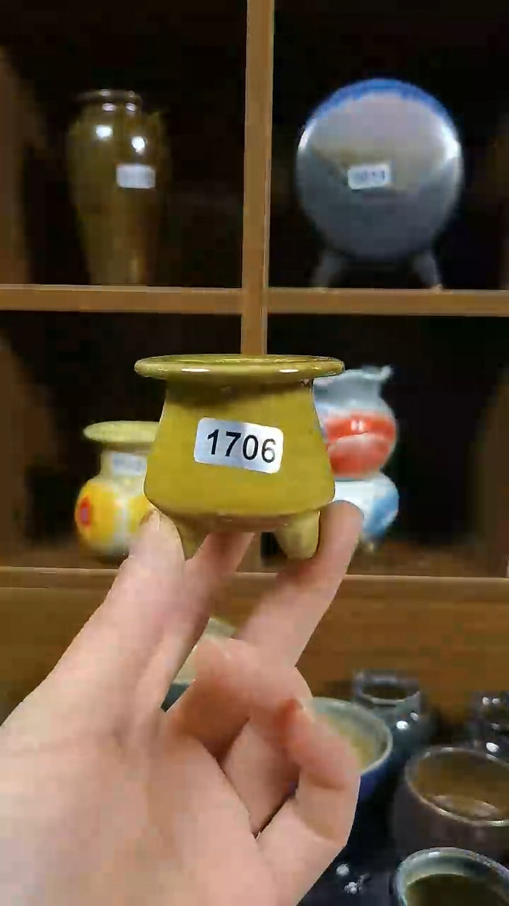 【闪购商品】红陶1706