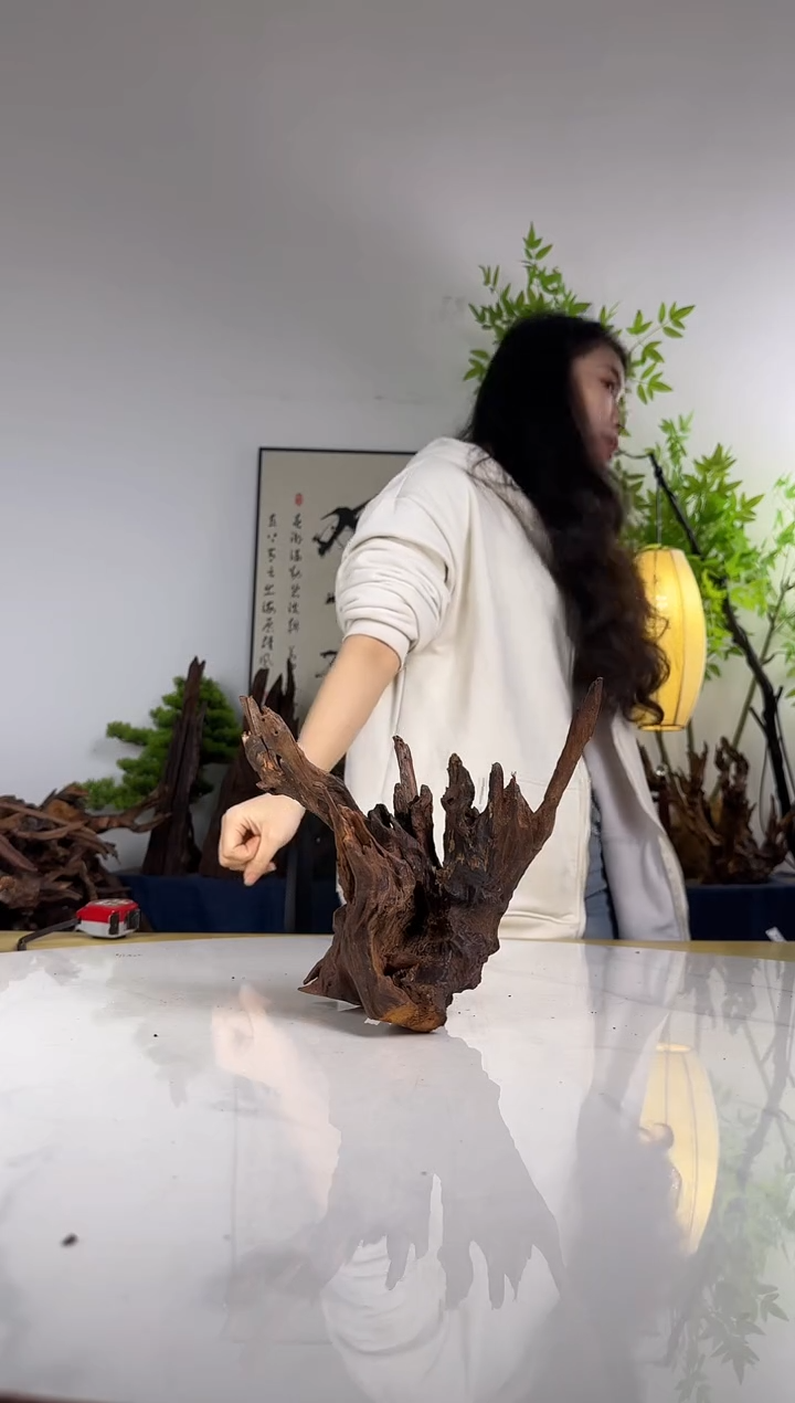 杰拍这个定向编号48