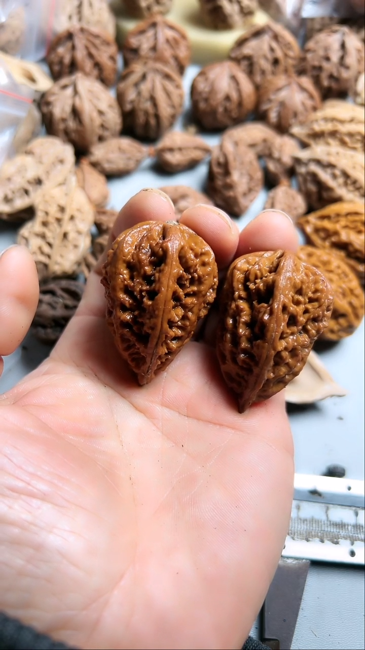 核桃东北野生大秋子3