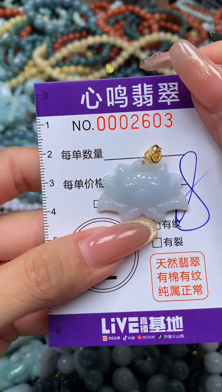 颈饰未镶嵌翡翠闪购002603