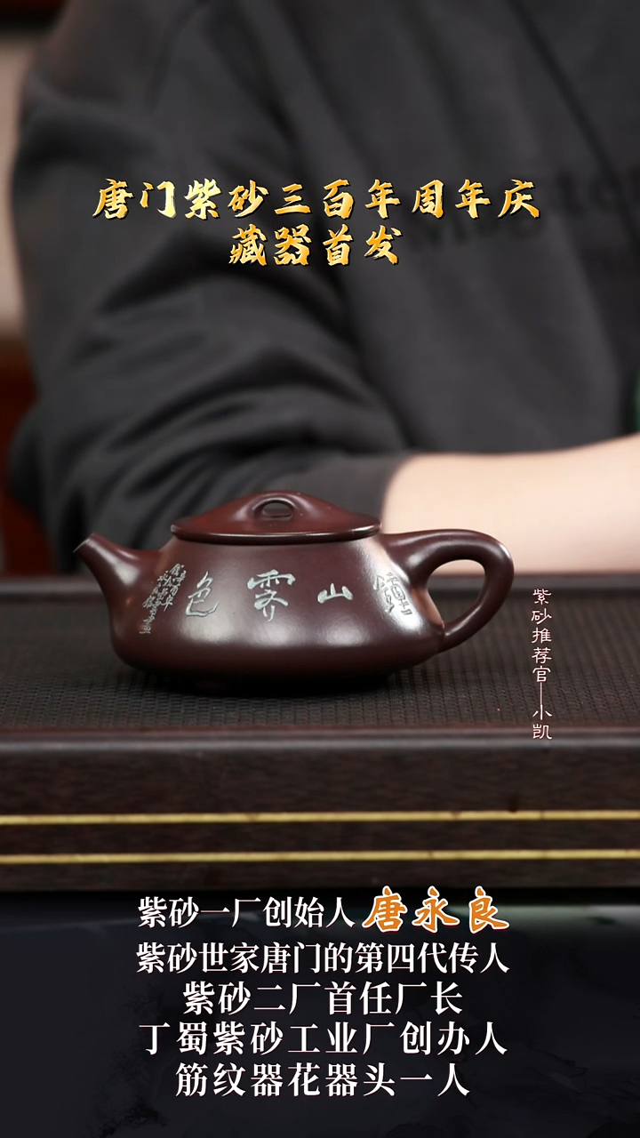 茶壶紫砂2TLY2景舟石瓢老紫泥250cc